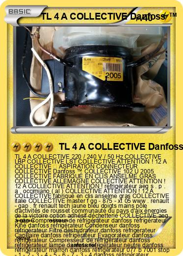 Pokemon TL 4 A COLLECTIVE Danfoss ™