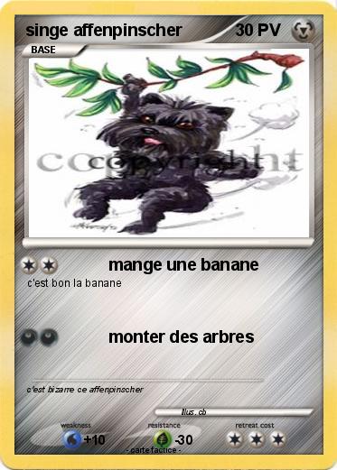 Pokemon singe affenpinscher