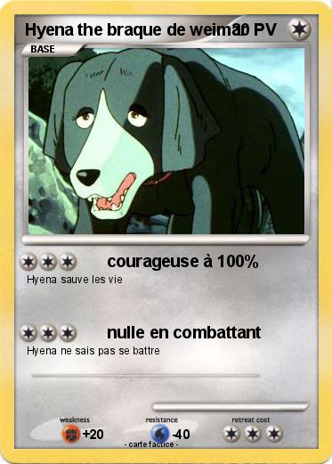 Pokemon Hyena the braque de weimar