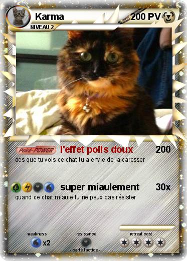 Pokemon Karma