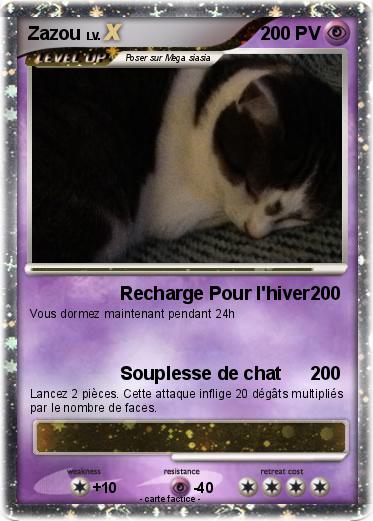 Pokemon Zazou