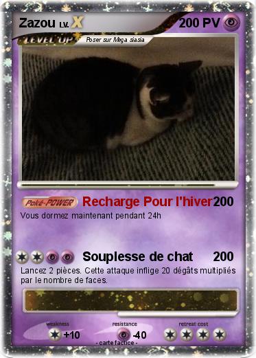 Pokemon Zazou