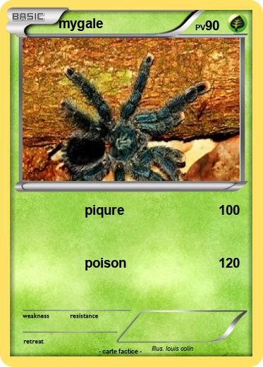 Pokemon mygale