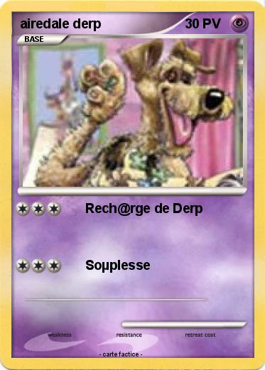 Pokemon airedale derp