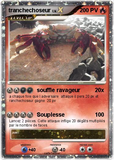 Pokemon tranchechoseur