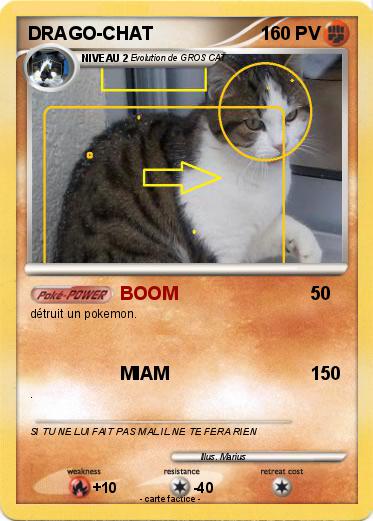 Pokemon DRAGO-CHAT