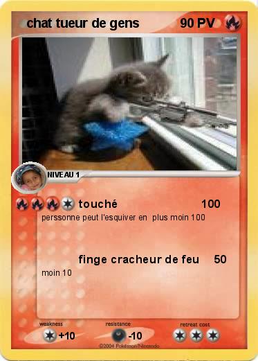 Pokemon   chat tueur de gens