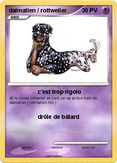 Pokemon dalmatien / rottweiler