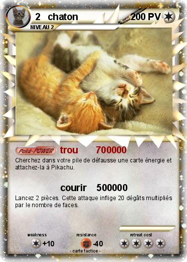 Pokemon 2   chaton