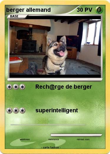Pokemon berger allemand
