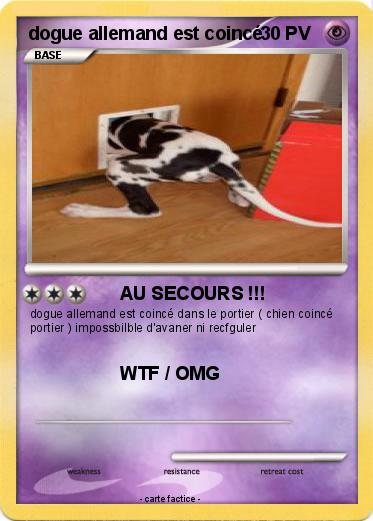 Pokemon dogue allemand est coincé