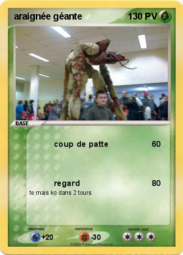 Pokemon araignée géante