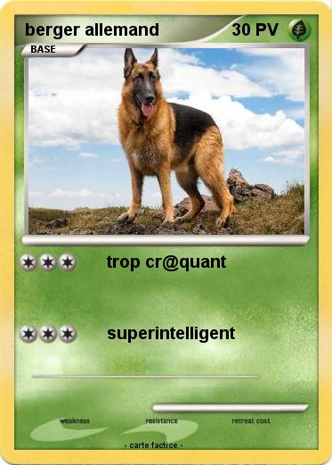 Pokemon berger allemand