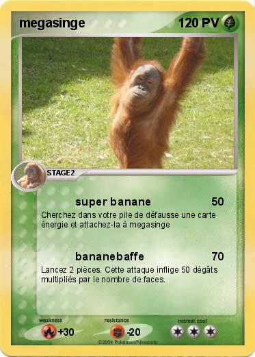 Pokemon megasinge