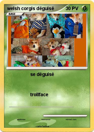 Pokemon welsh corgis déguisé