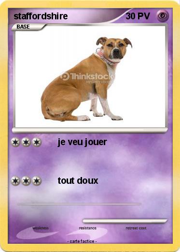 Pokemon staffordshire