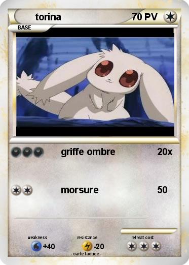 Pokemon torina