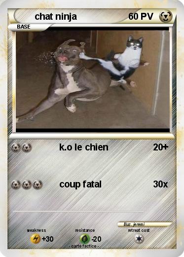 Pokemon chat ninja