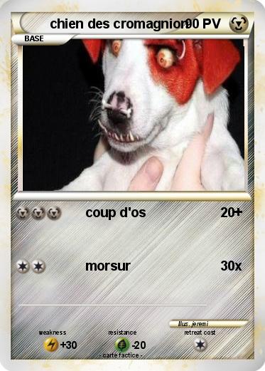 Pokemon chien des cromagnion