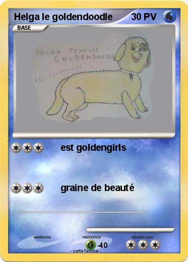 Pokemon Helga le goldendoodle
