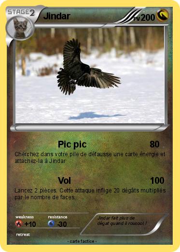 Pokemon Jindar