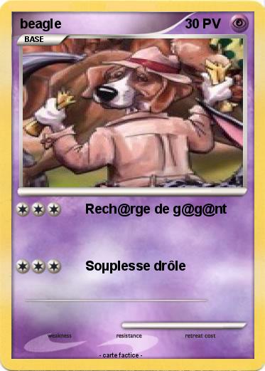 Pokemon beagle