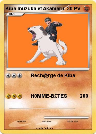 Pokemon Kiba Inuzuka et Akamaru