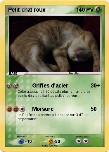 Pokemon Petit chat roux
