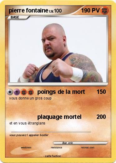 Pokemon pierre fontaine