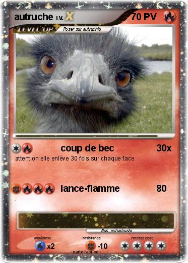 Pokemon autruche