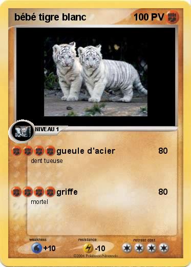 Pokemon bébé tigre blanc