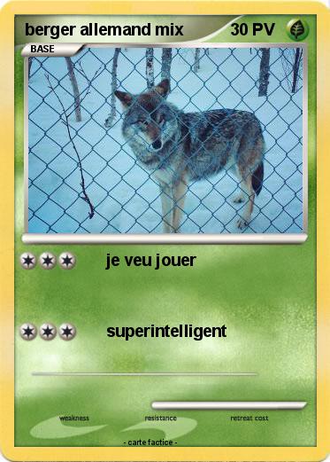 Pokemon berger allemand mix