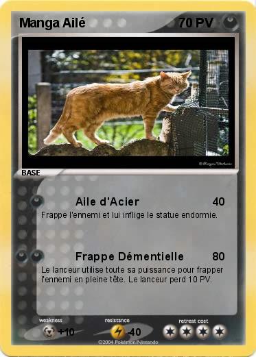 Pokemon Manga Ailé