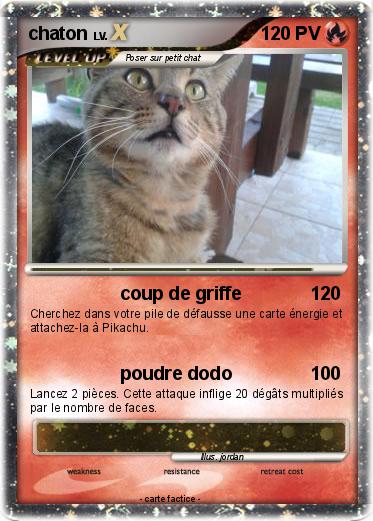 Pokemon chaton