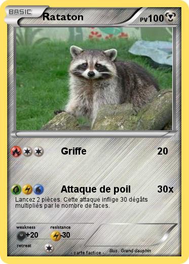 Pokemon Rataton