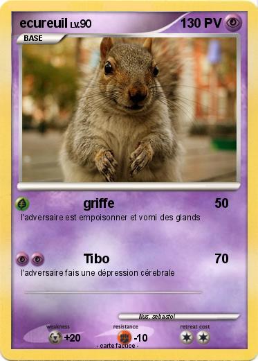 Pokemon ecureuil