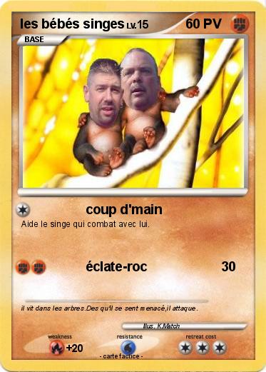 Pokemon les bébés singes