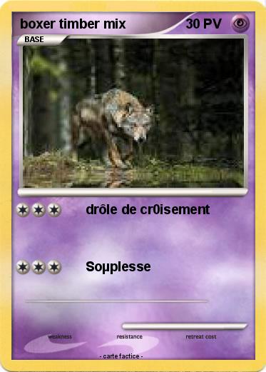 Pokemon boxer timber mix