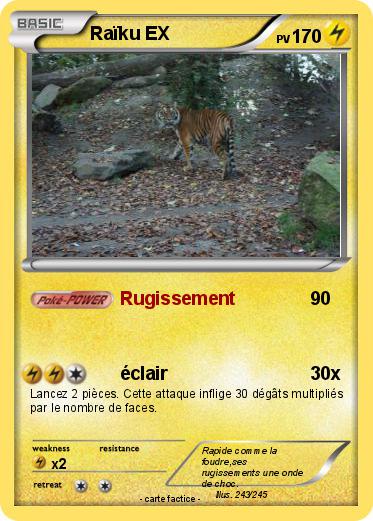 Pokemon Raïku EX