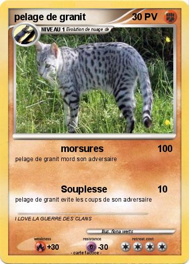 Pokemon pelage de granit