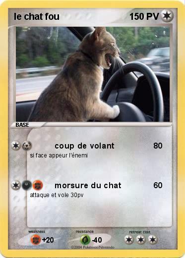 Pokemon le chat fou                  