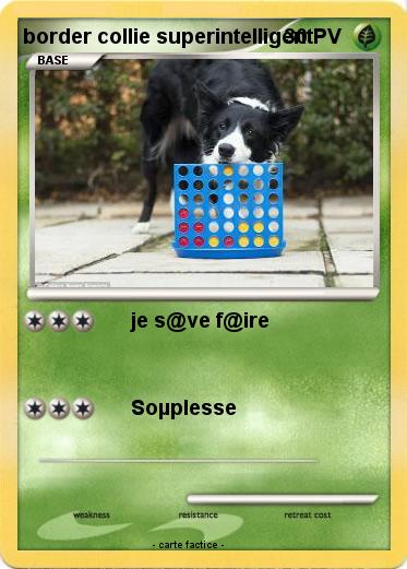 Pokemon border collie superintelligent