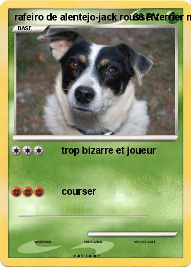 Pokemon rafeiro de alentejo-jack rousset terrier mix