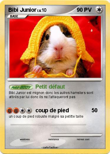 Pokemon Bibi Junior