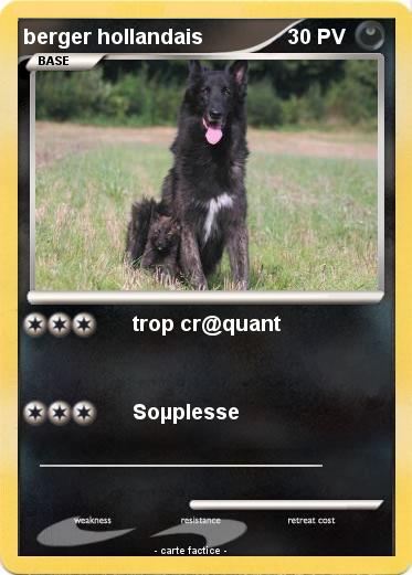 Pokemon berger hollandais