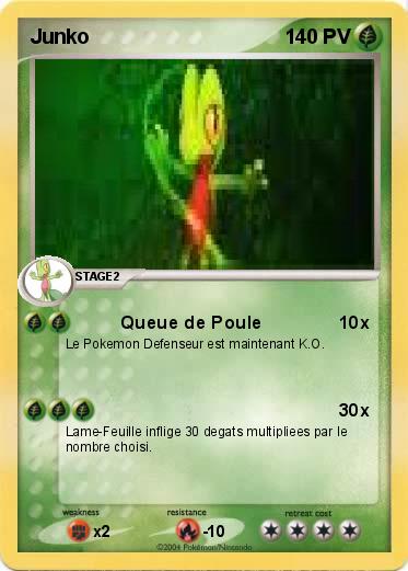 Pokemon Junko