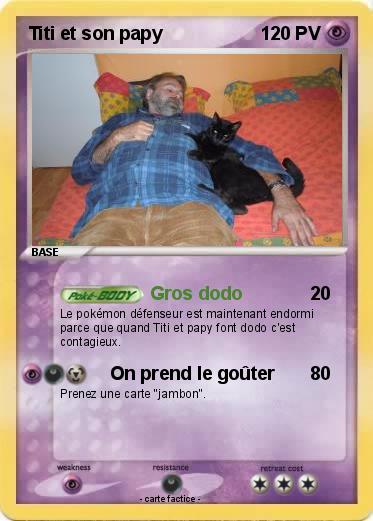 Pokemon Titi et son papy