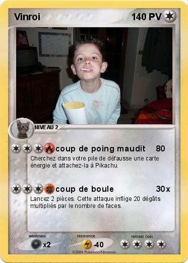 Pokemon Vinroi