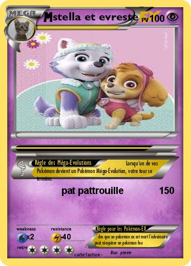 Pokemon stella et evreste