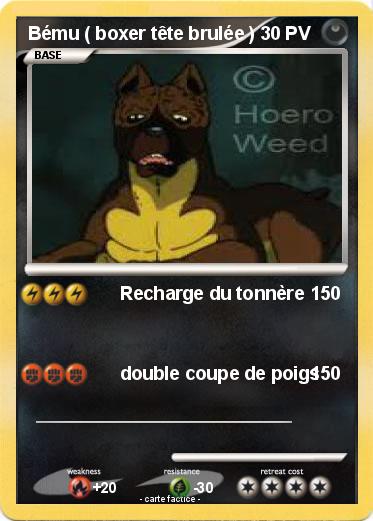Pokemon Bému ( boxer tête brulée )